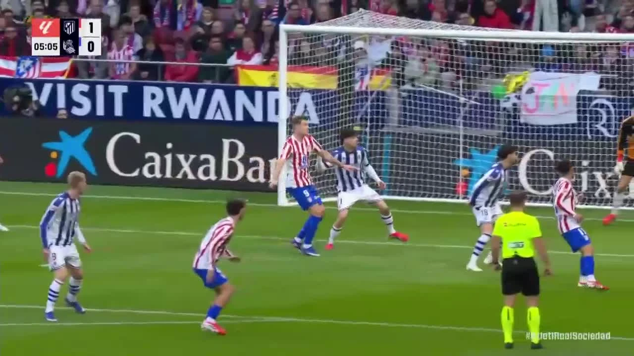 zaslepka skrotu video