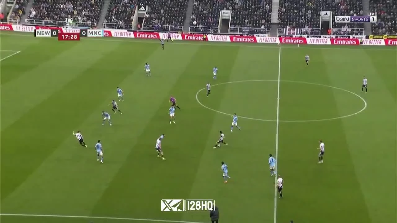 zaslepka skrotu video