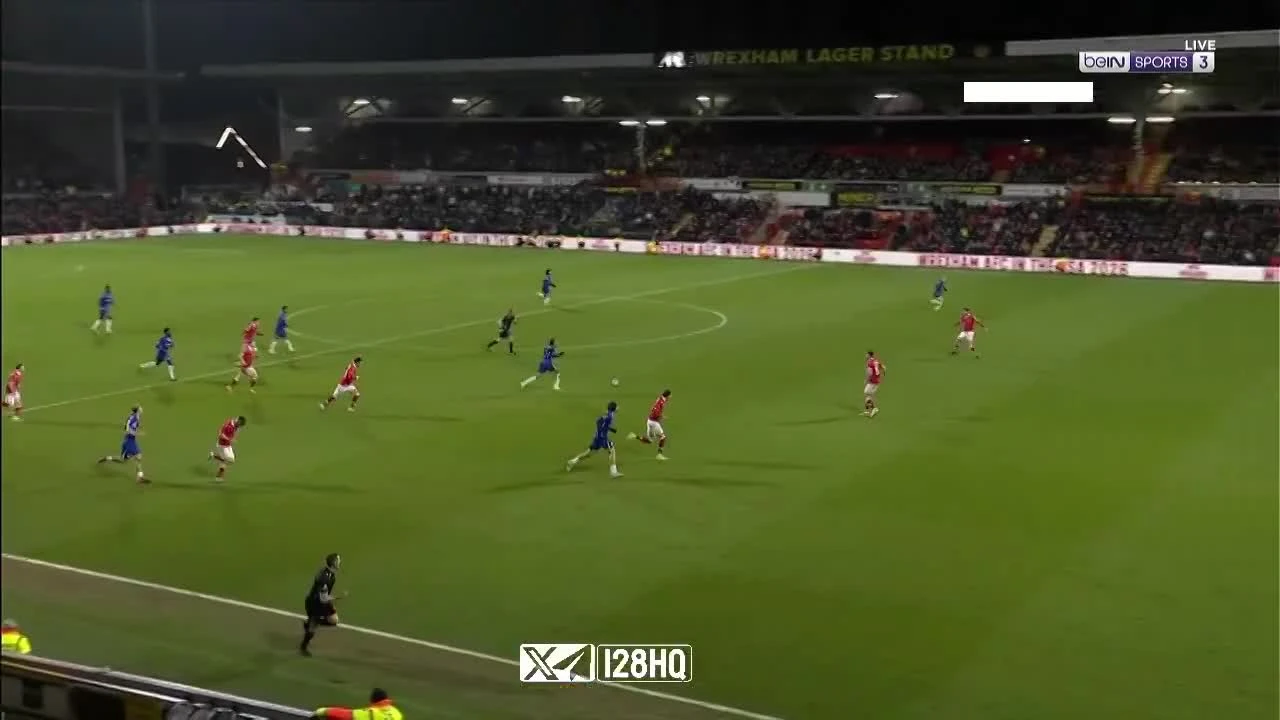 zaslepka skrotu video