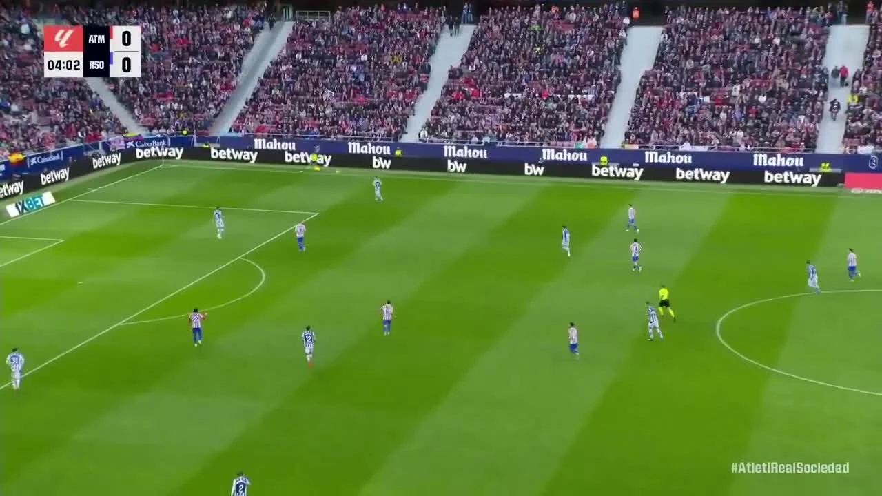 zaslepka skrotu video