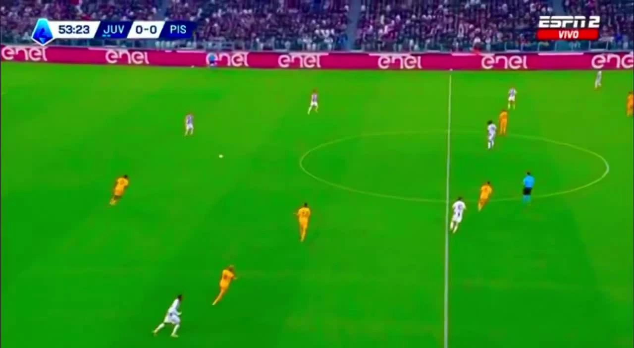 zaslepka skrotu video