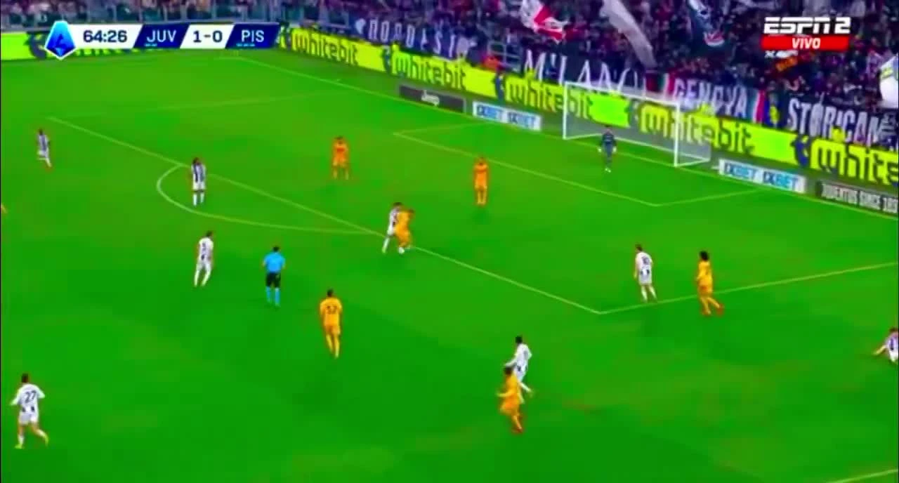 zaslepka skrotu video