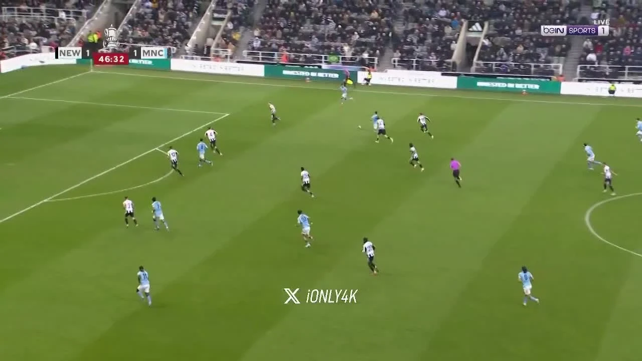 zaslepka skrotu video