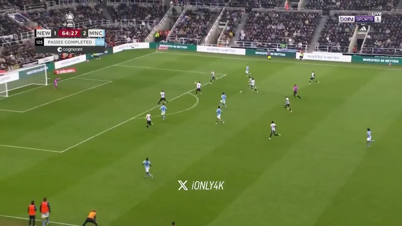 zaslepka skrotu video