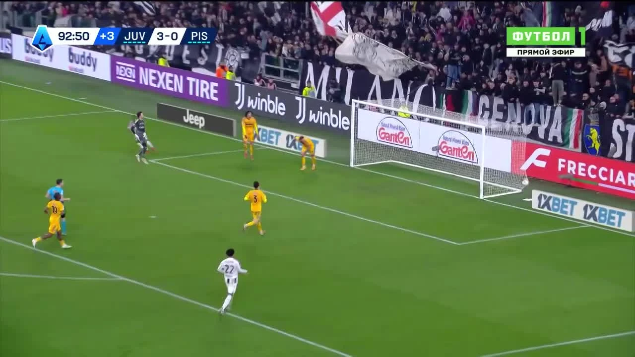 zaslepka skrotu video