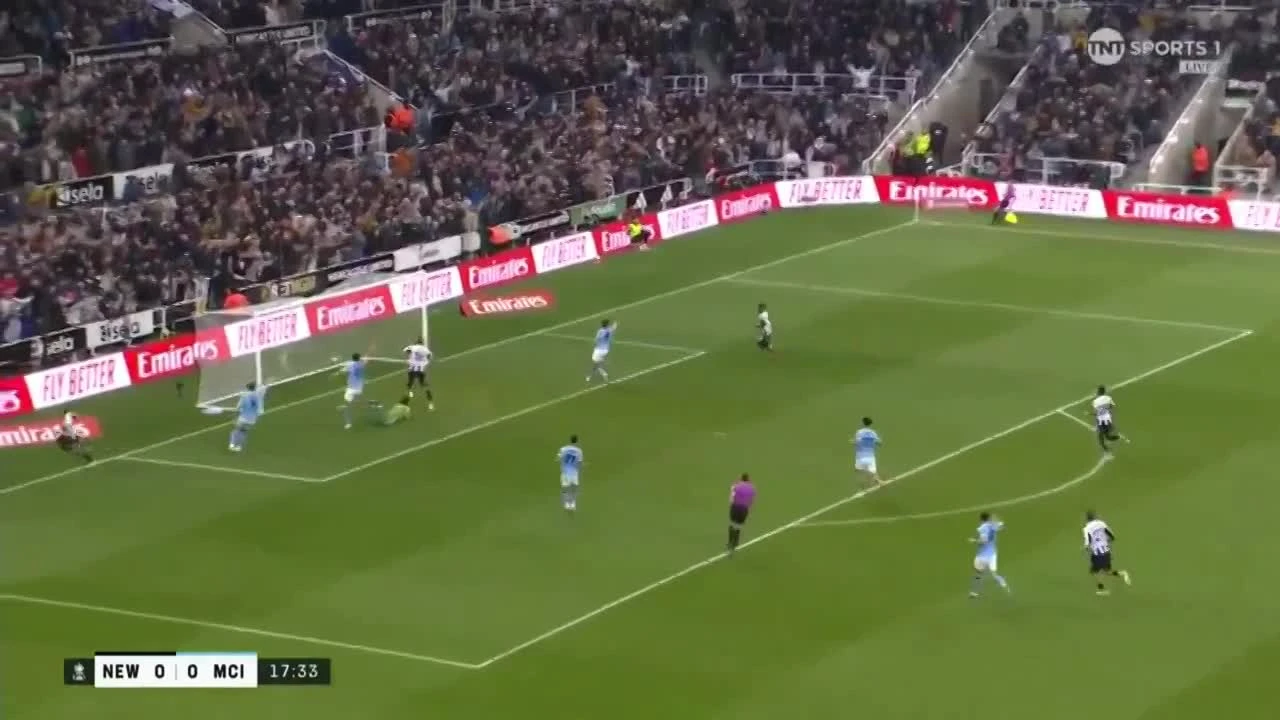 zaslepka skrotu video