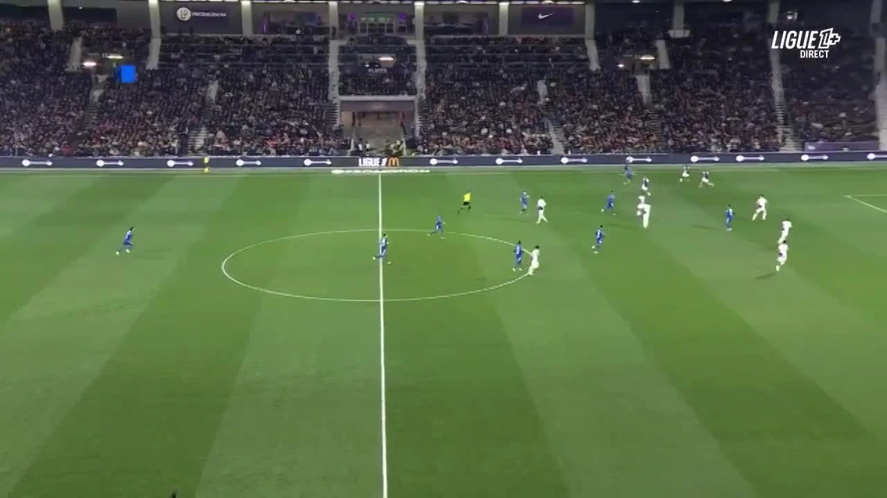 zaslepka skrotu video