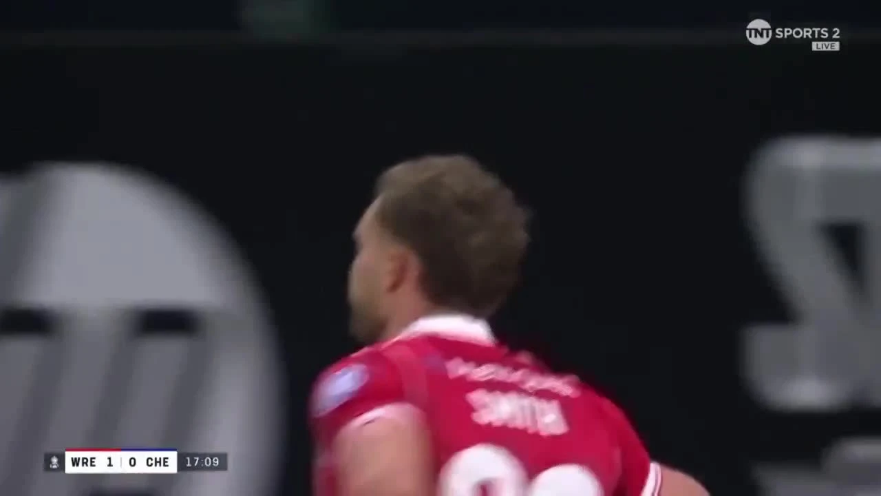 zaslepka skrotu video