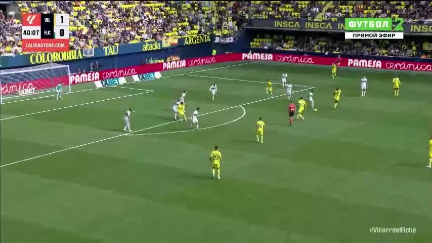 zaslepka skrotu video