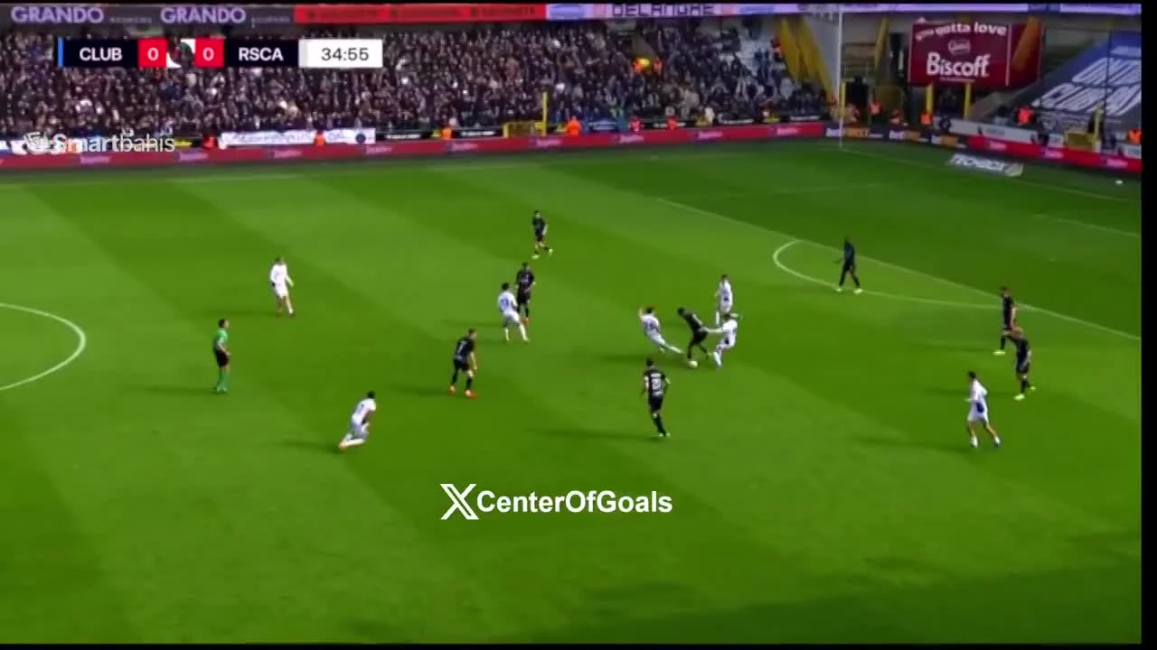 zaslepka skrotu video