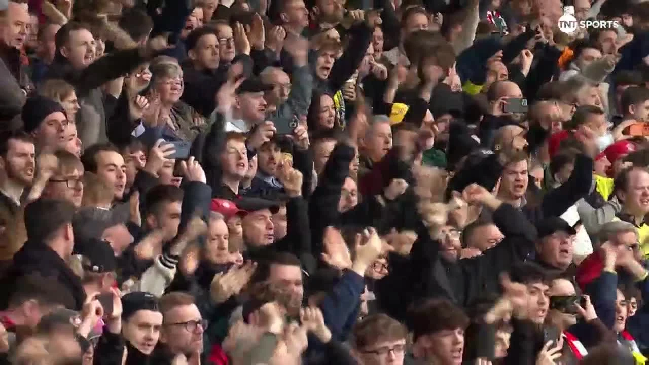 zaslepka skrotu video