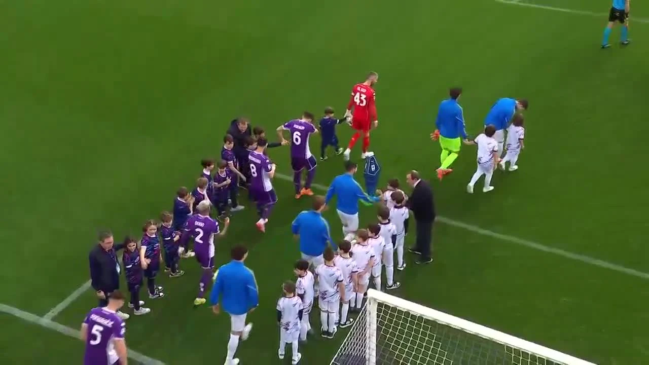 zaslepka skrotu video