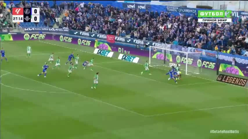 zaslepka skrotu video