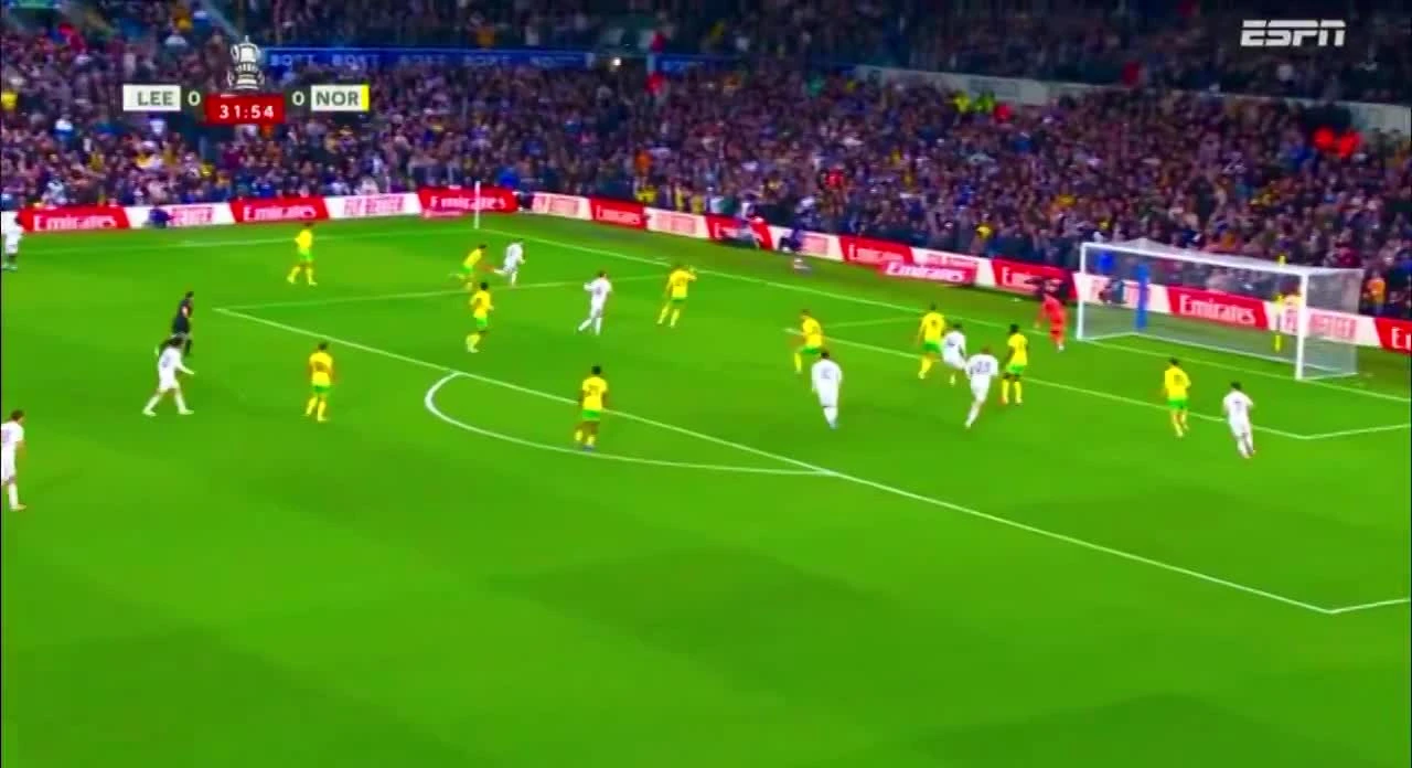 zaslepka skrotu video