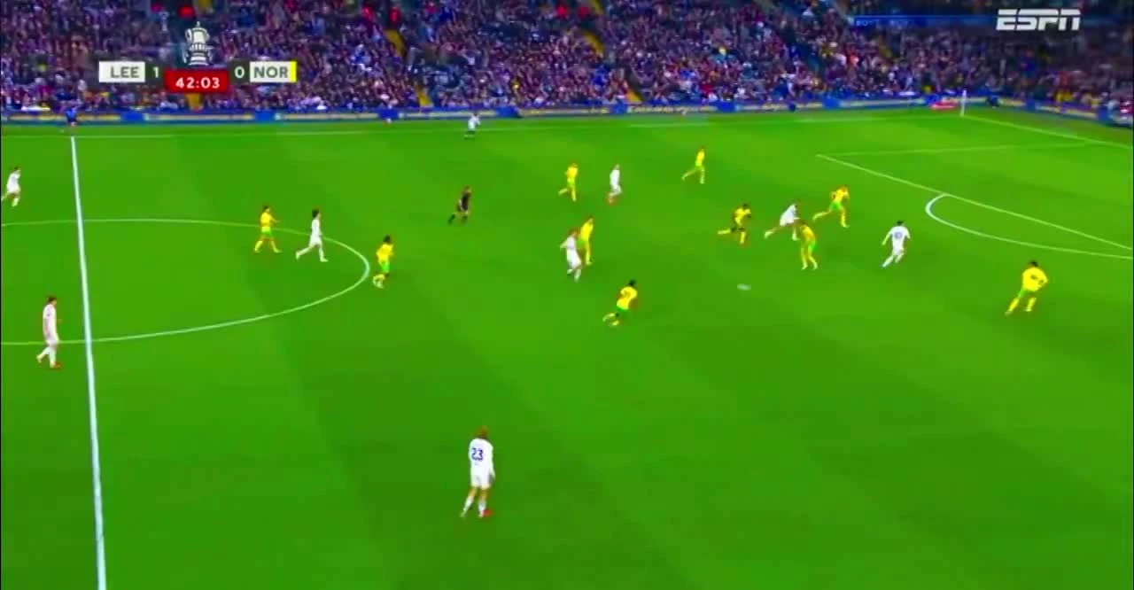 zaslepka skrotu video