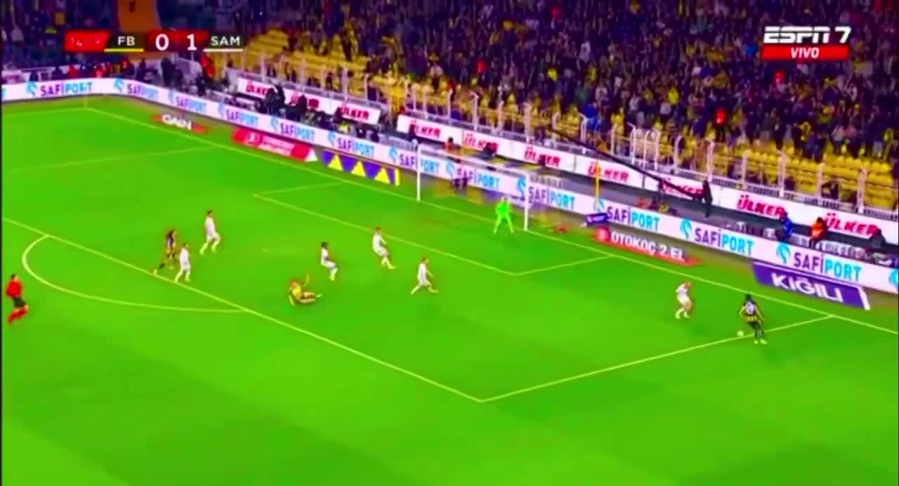 zaslepka skrotu video