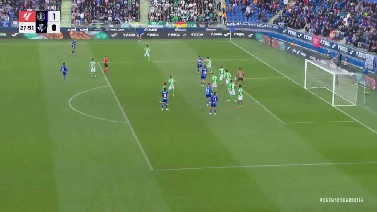 zaslepka skrotu video