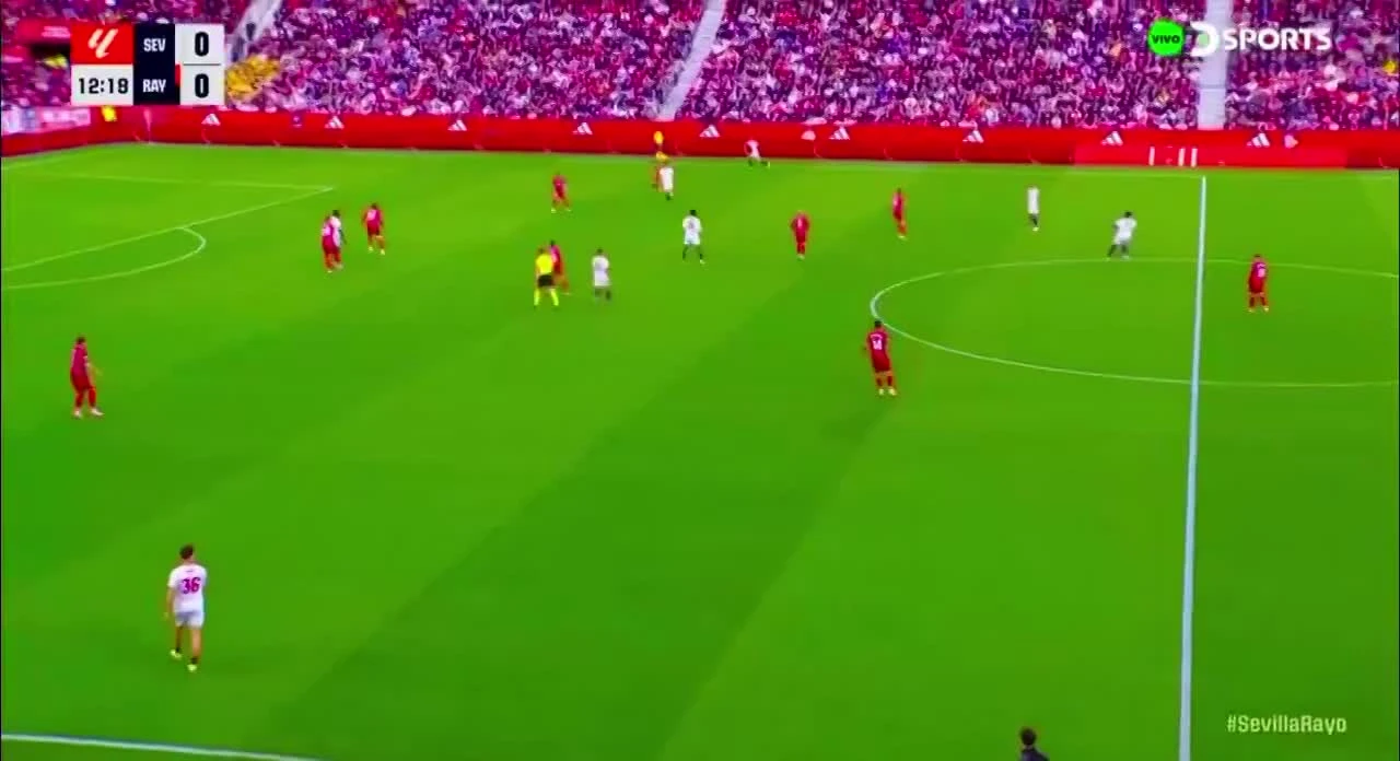 zaslepka skrotu video