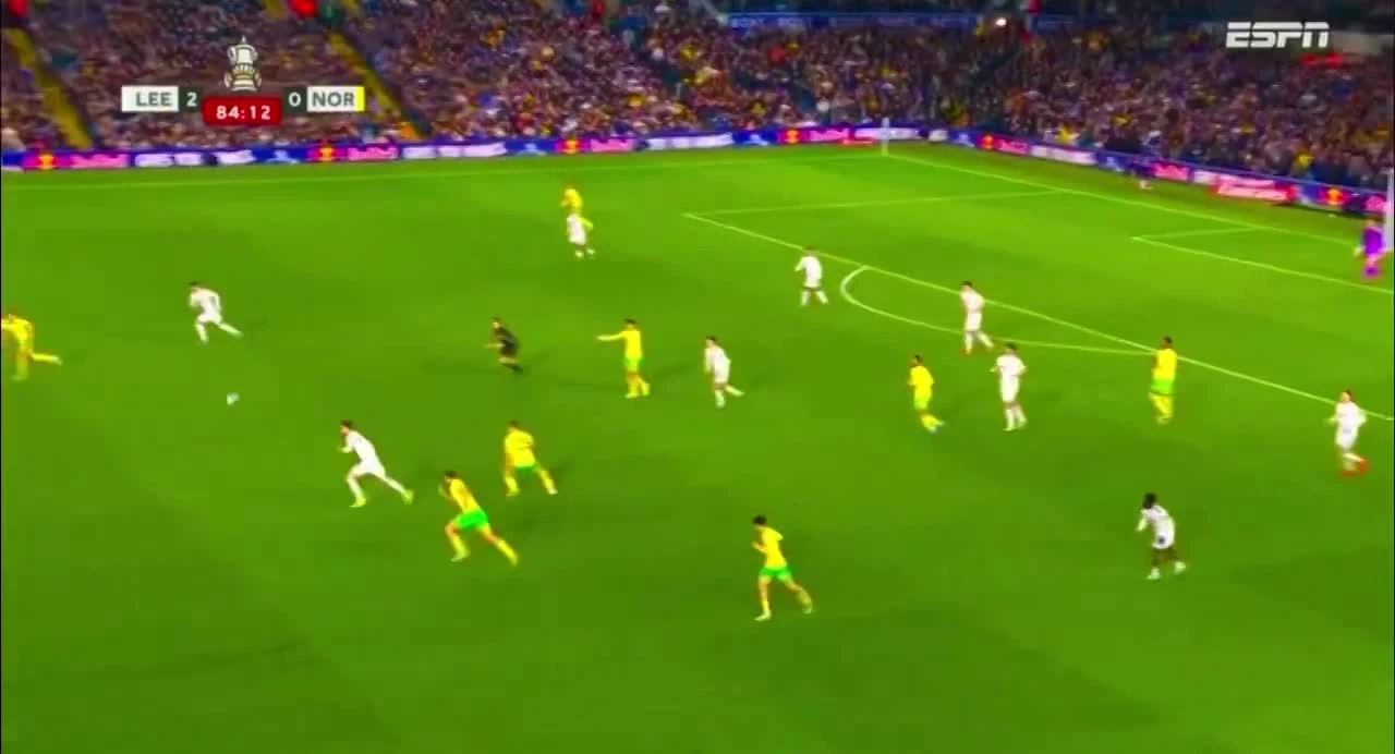 zaslepka skrotu video