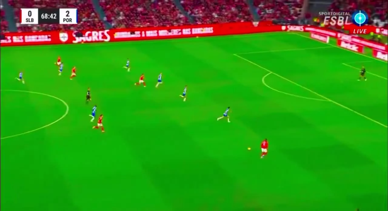 zaslepka skrotu video