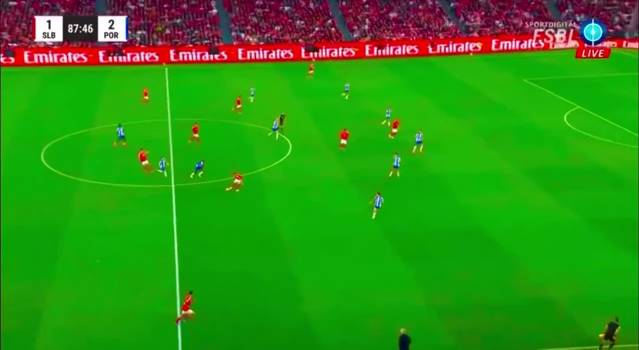 zaslepka skrotu video