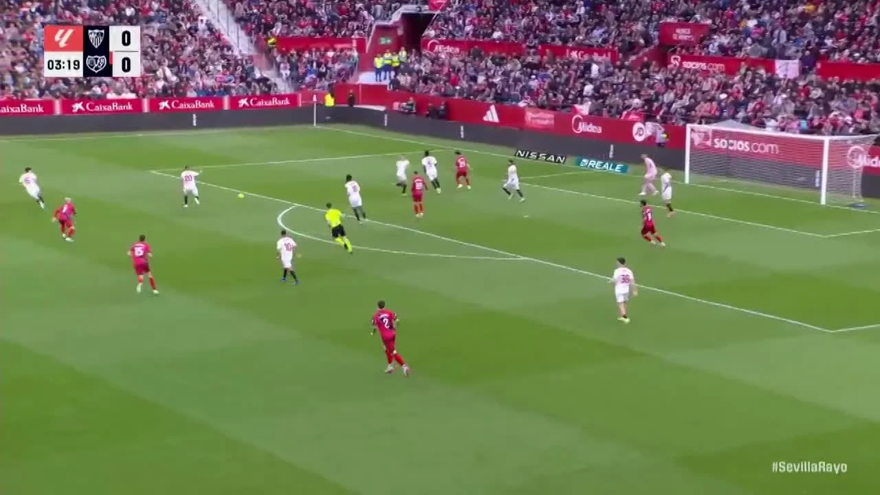 zaslepka skrotu video