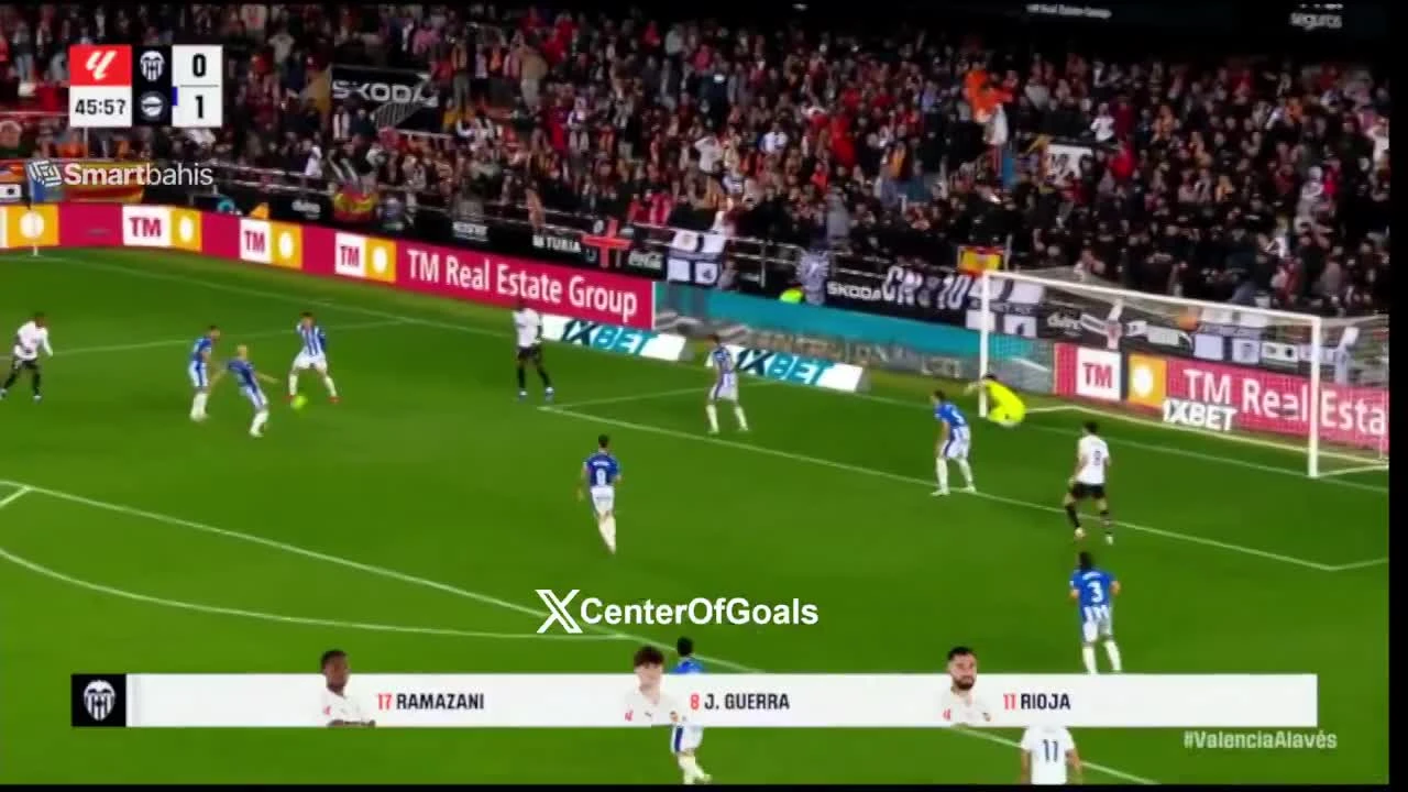 zaslepka skrotu video