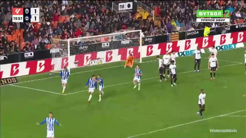 zaslepka skrotu video