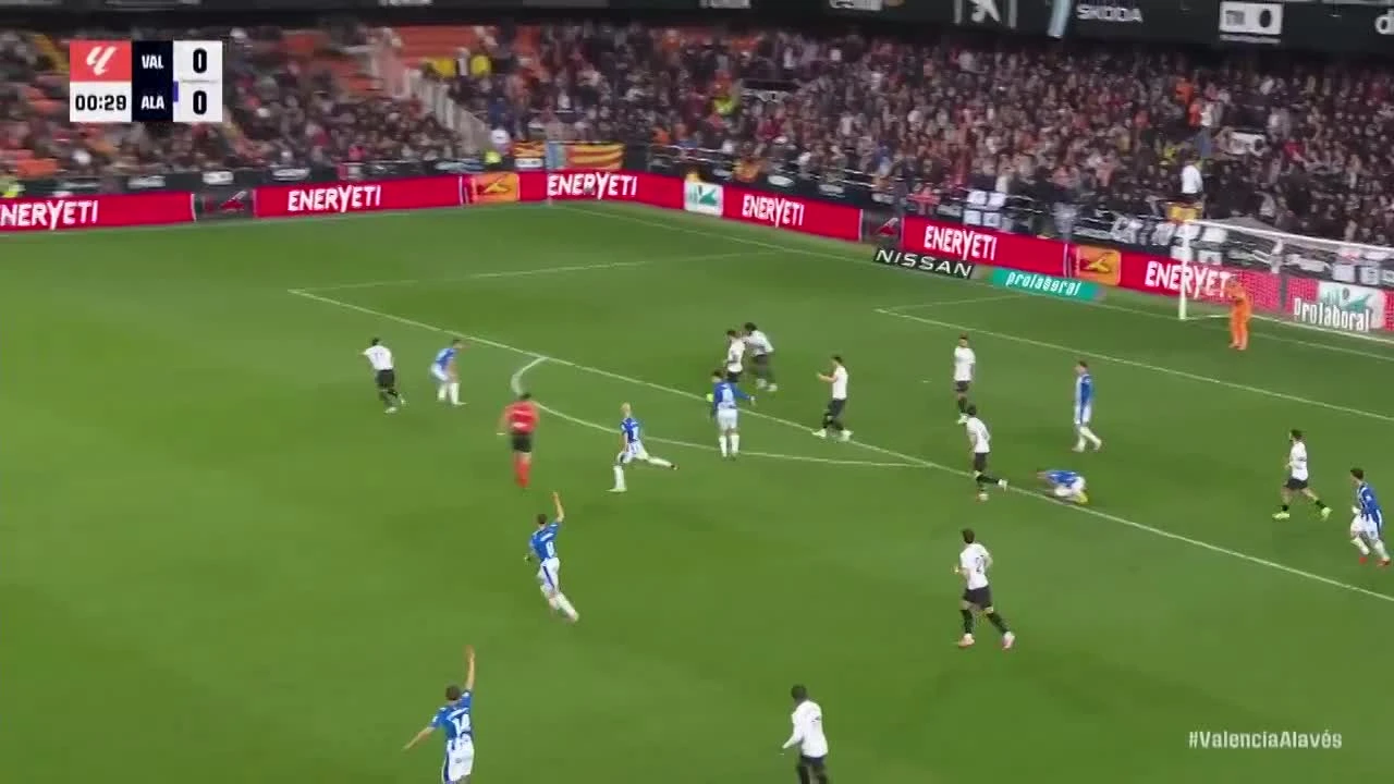 zaslepka skrotu video