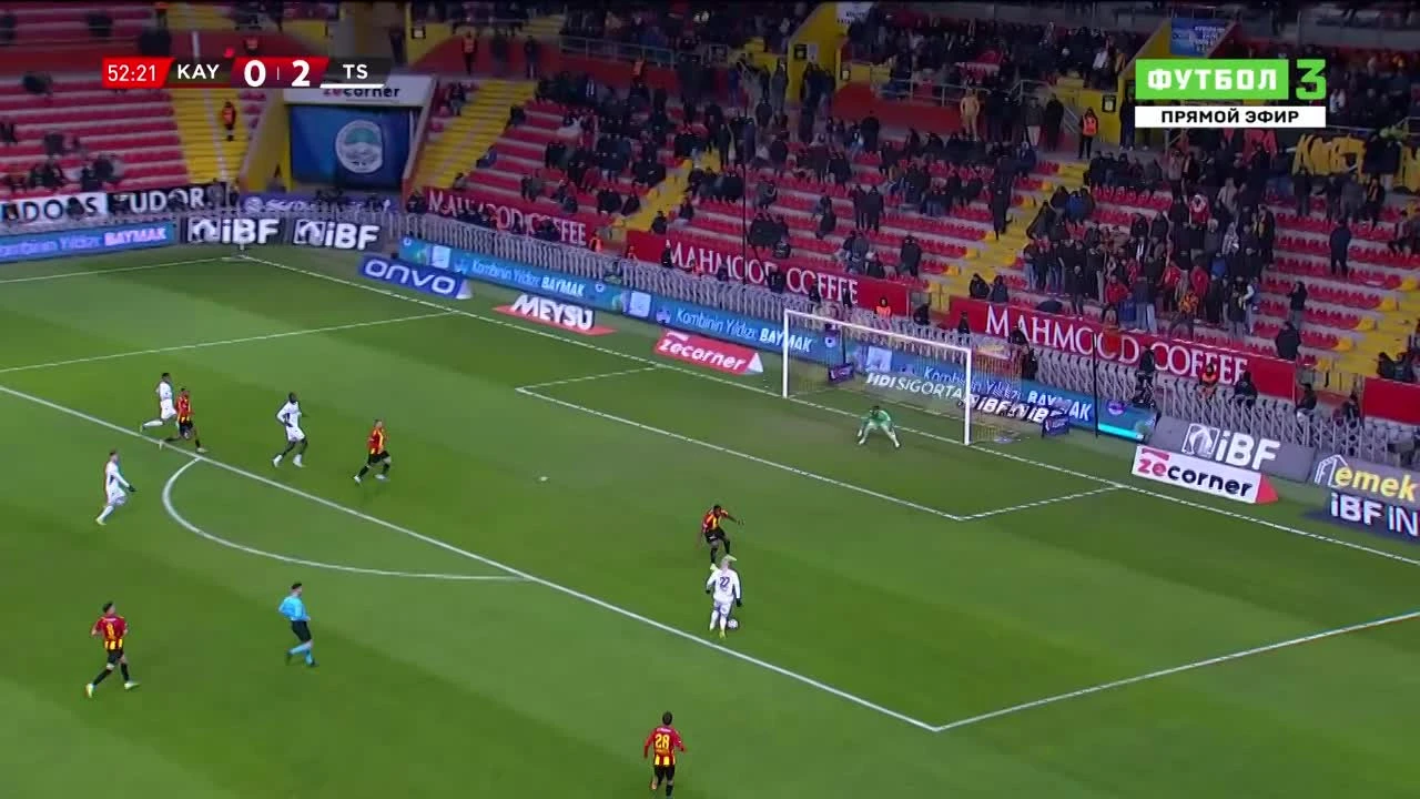 zaslepka skrotu video