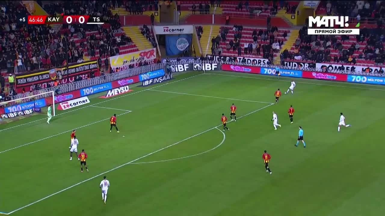 zaslepka skrotu video