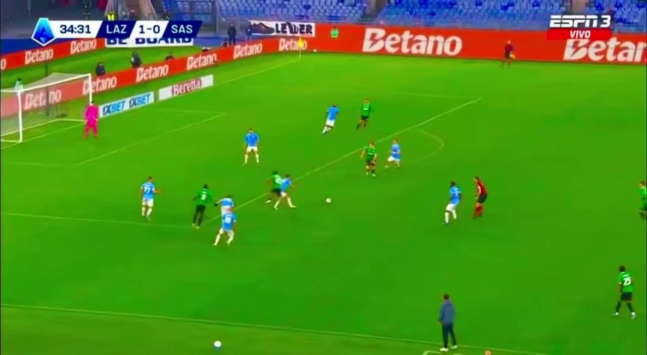 zaslepka skrotu video