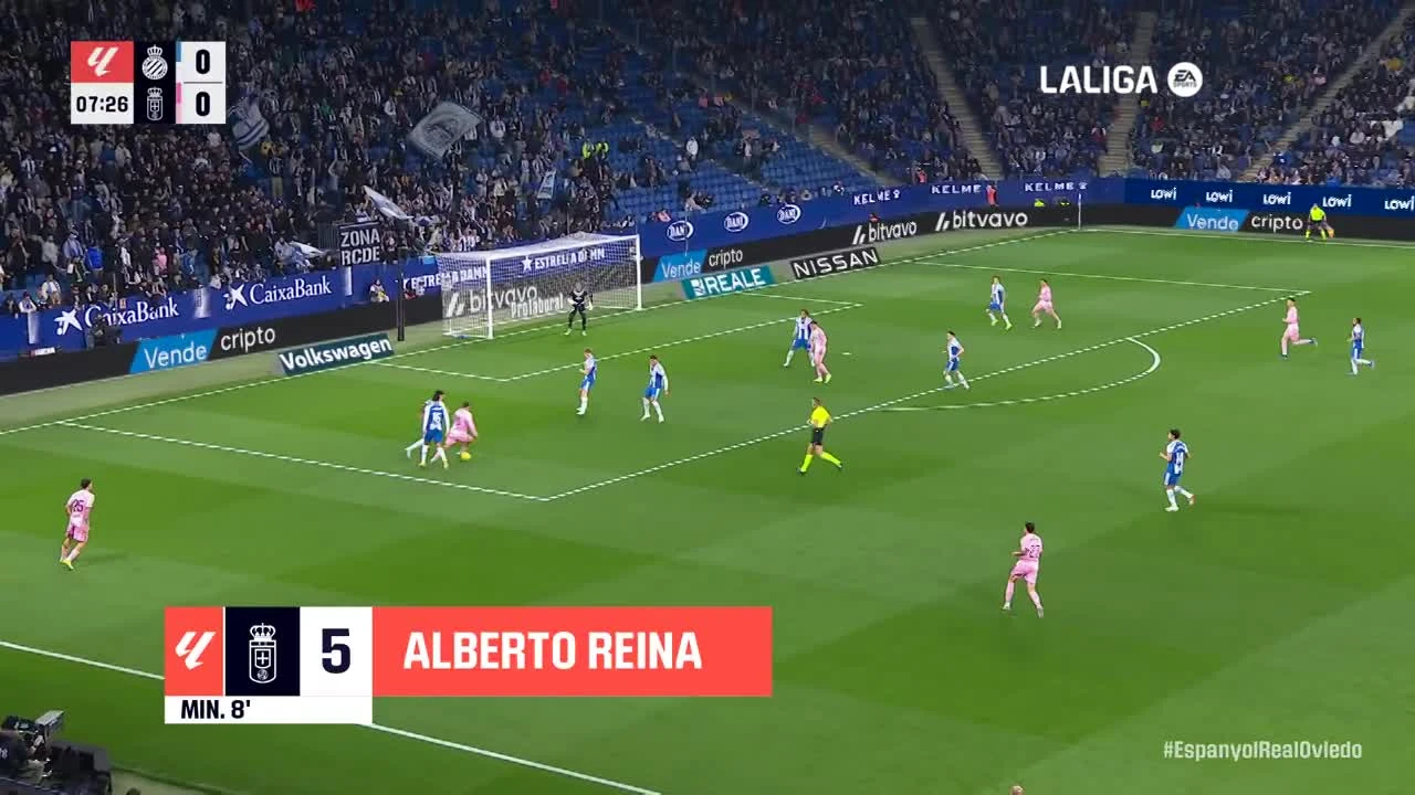 zaslepka skrotu video