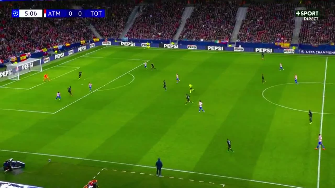 zaslepka skrotu video