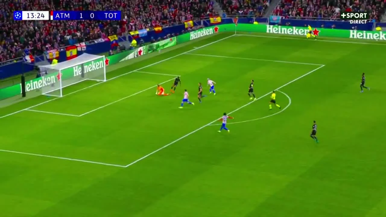 zaslepka skrotu video