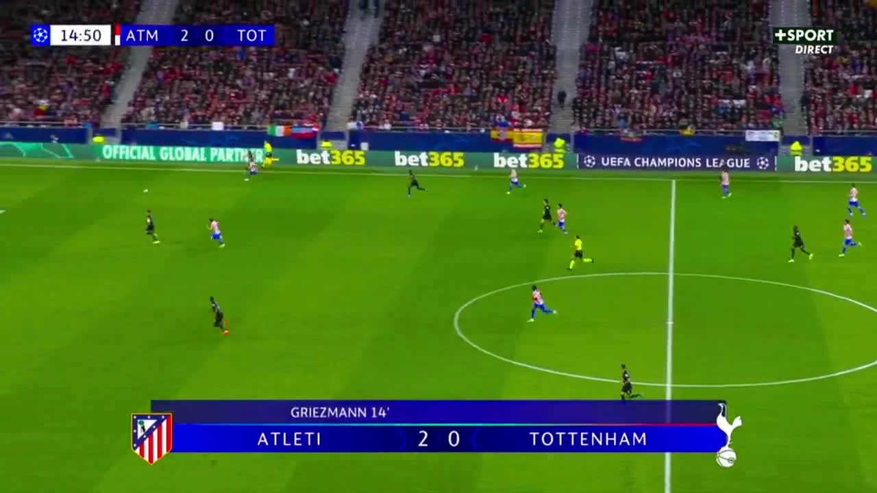 zaslepka skrotu video