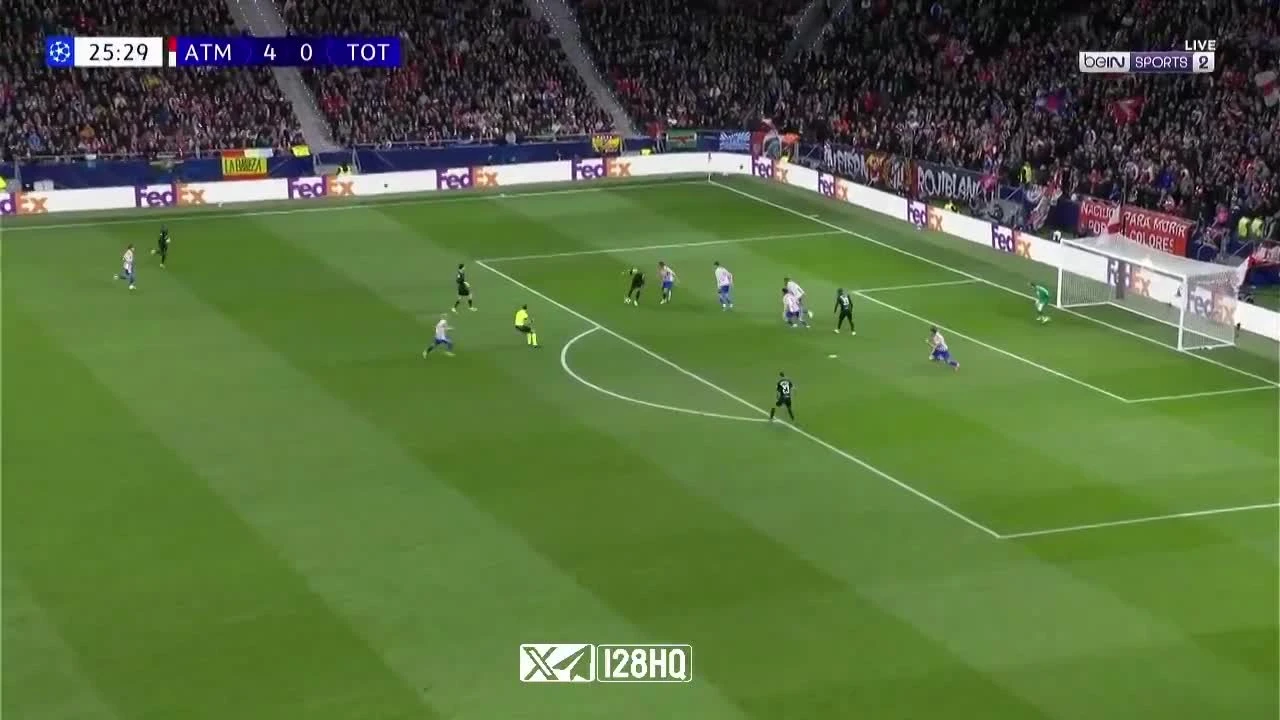 zaslepka skrotu video