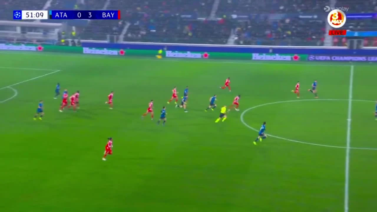 zaslepka skrotu video