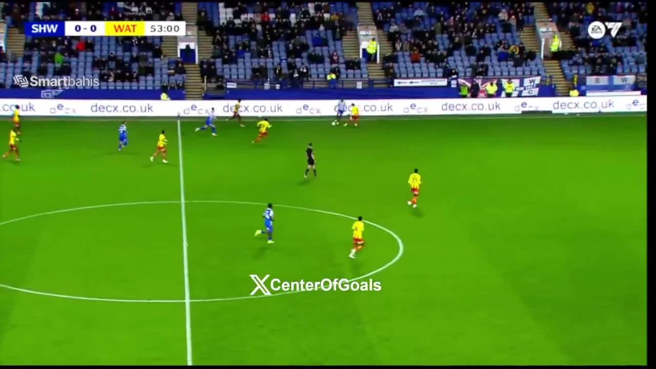 zaslepka skrotu video