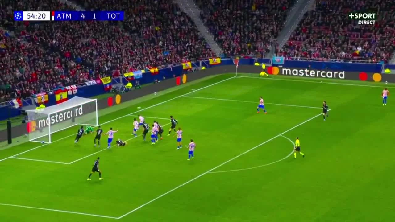 zaslepka skrotu video