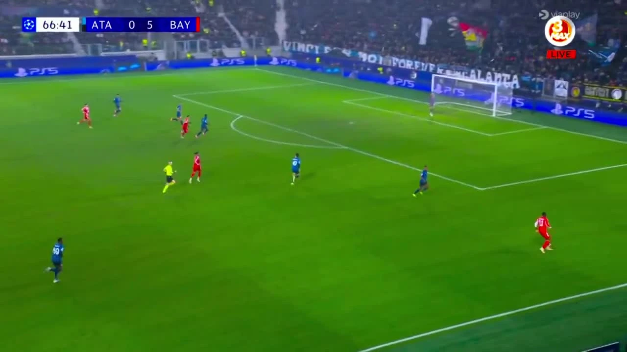 zaslepka skrotu video