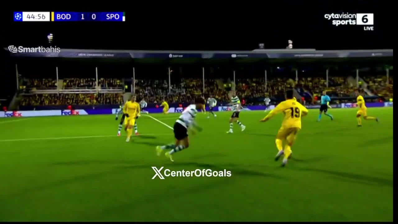 zaslepka skrotu video