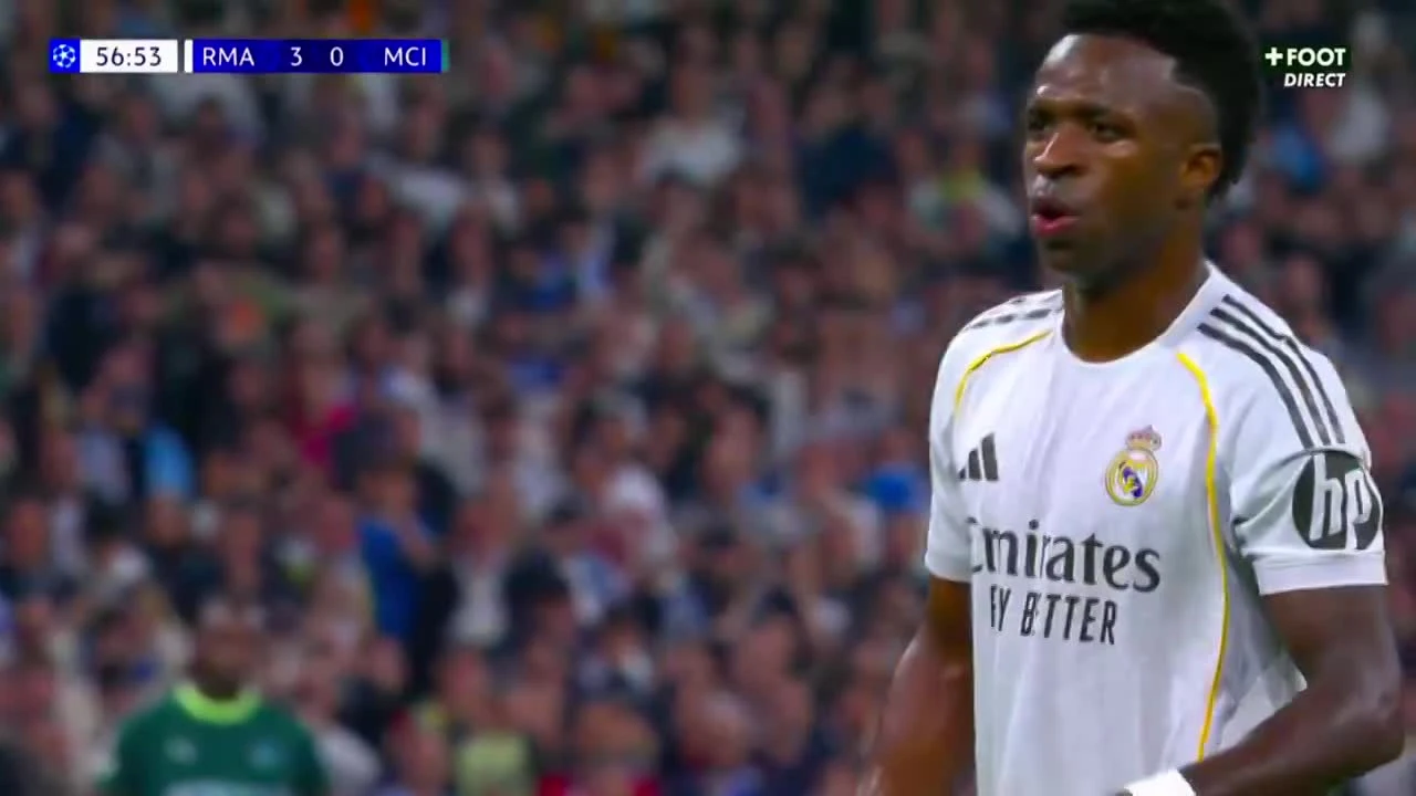 zaslepka skrotu video