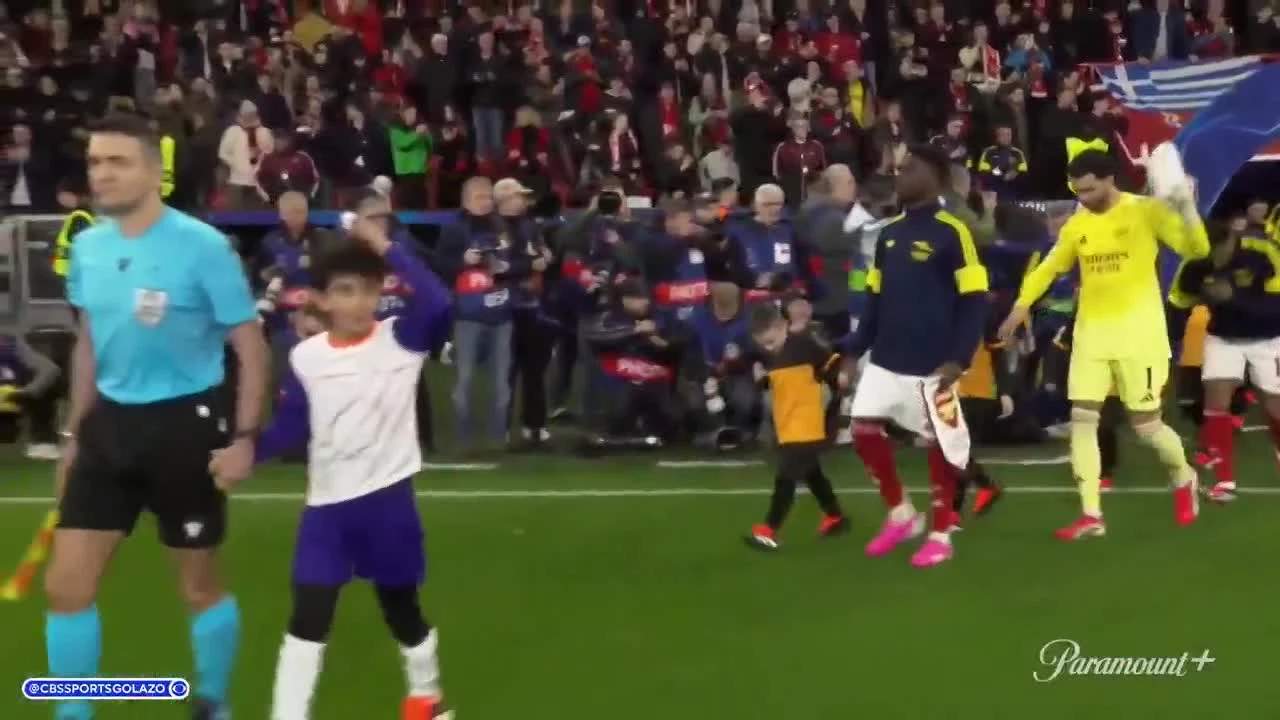 zaslepka skrotu video