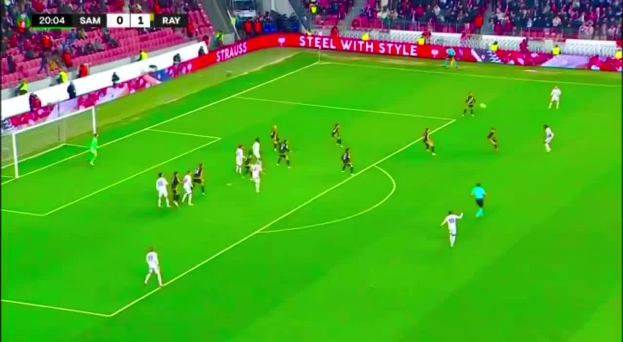 zaslepka skrotu video