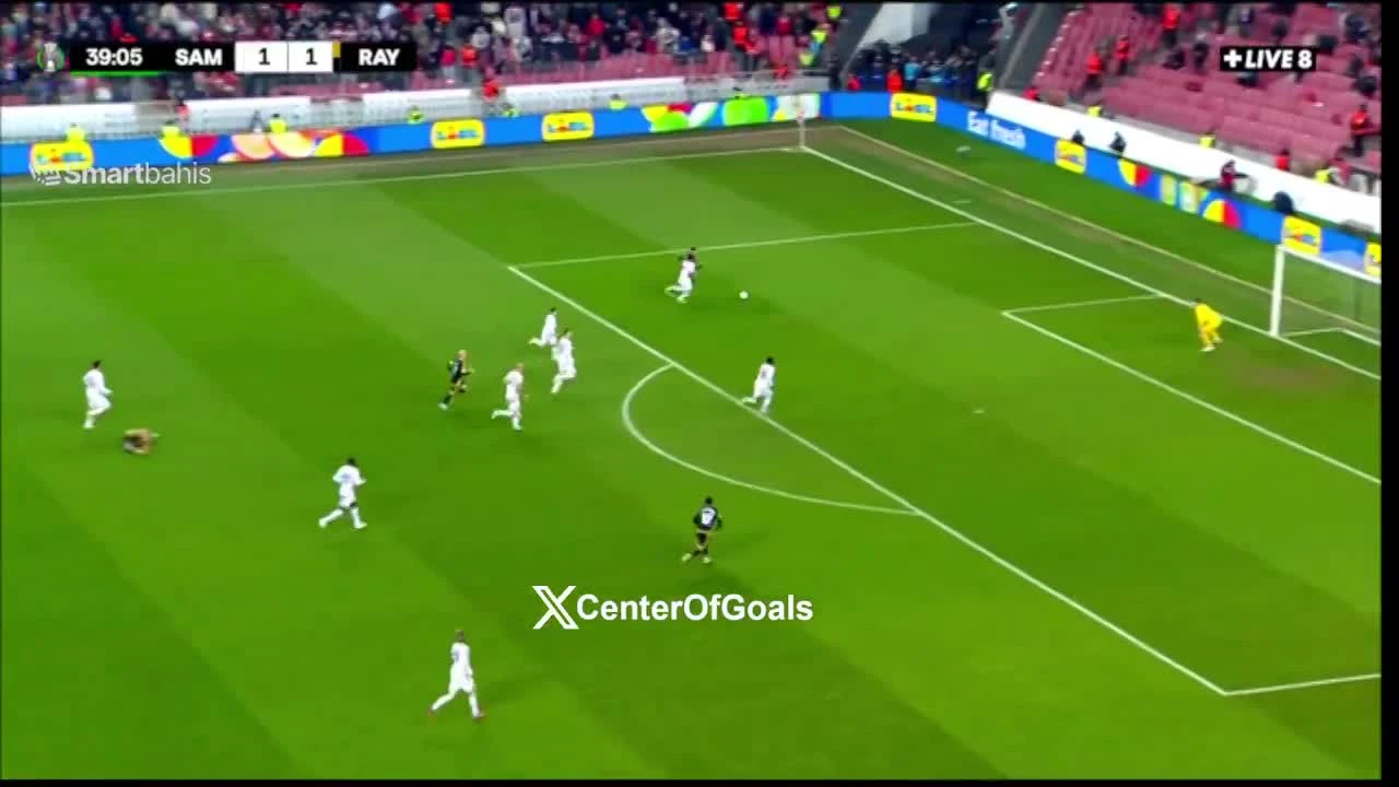 zaslepka skrotu video