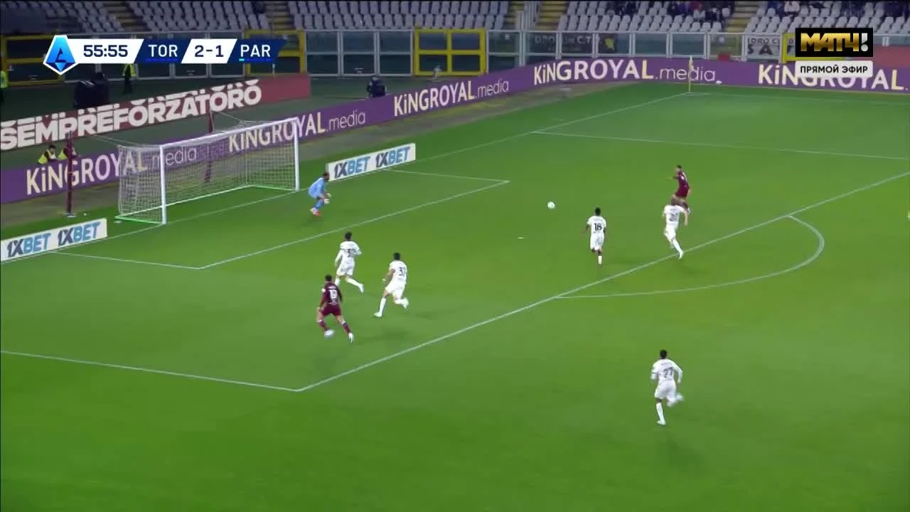 zaslepka skrotu video