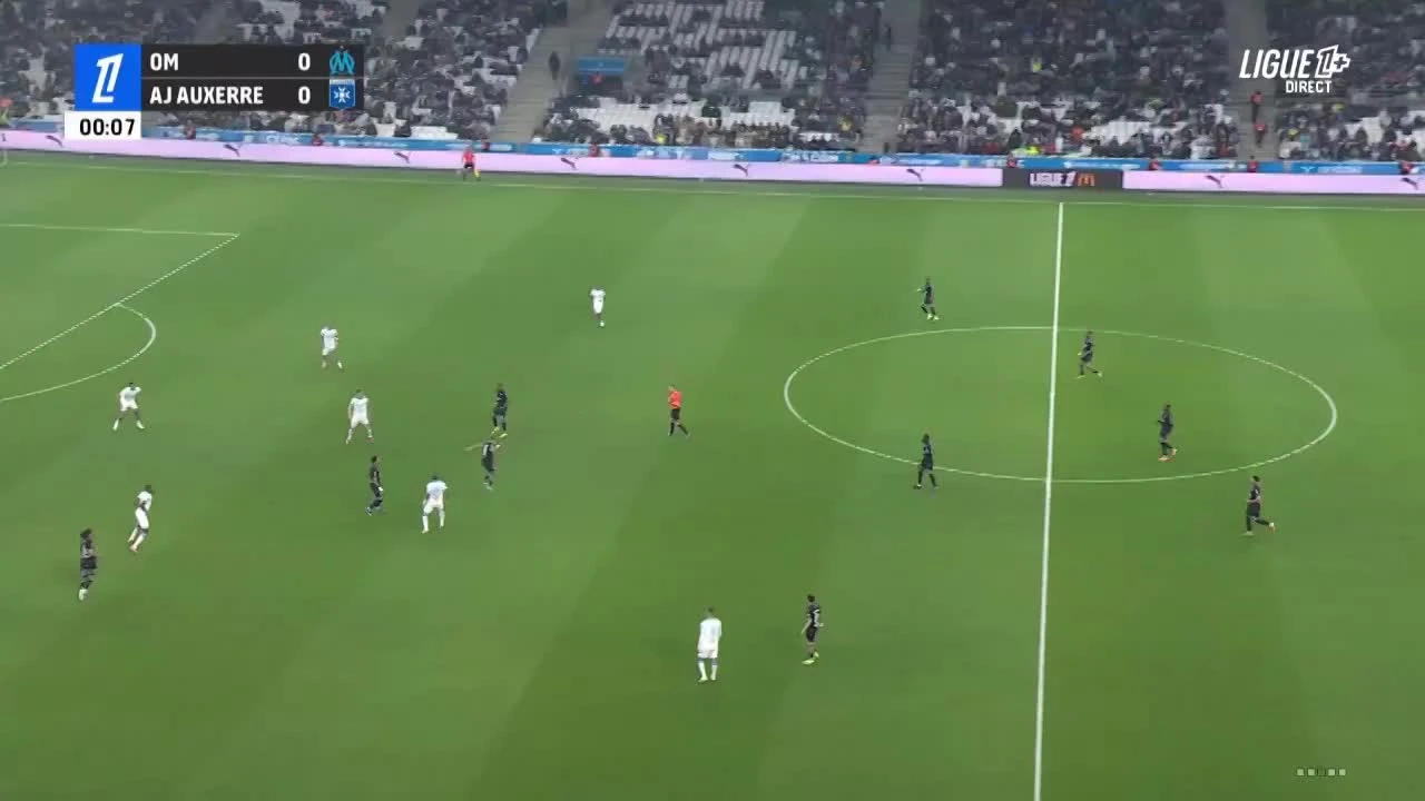 zaslepka skrotu video