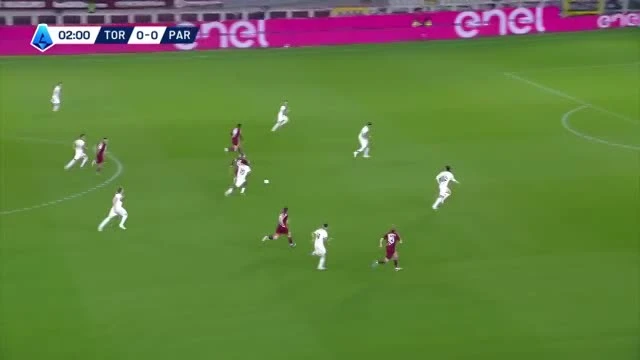 zaslepka skrotu video