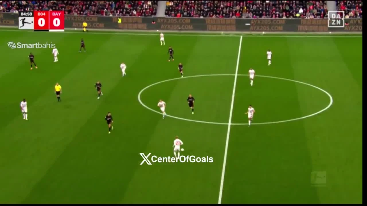 zaslepka skrotu video